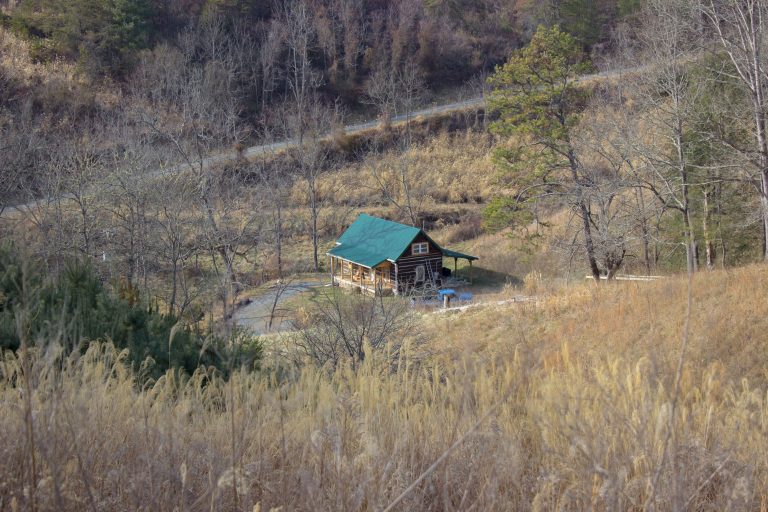 Cabin in Marshall, North Carolina